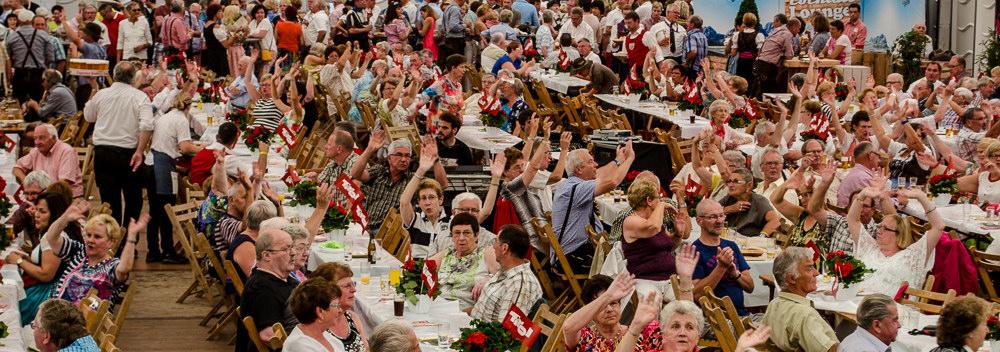 14854680161-18e7774cae-b