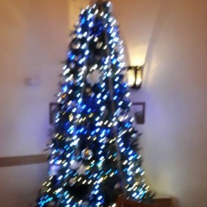 47448896-327681451291230-265993762797256704-n