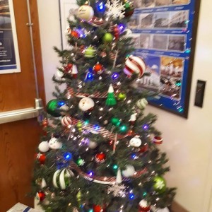 47477630-509603129540112-7928266855389593600-n