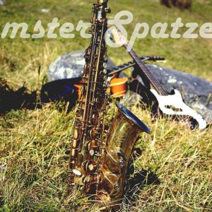 imster-spatzen-duo-0