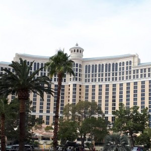 46712070-1420989261369366-2052062939405352960-n