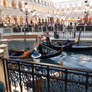 46820687-369615493784795-5108192582966444032-n