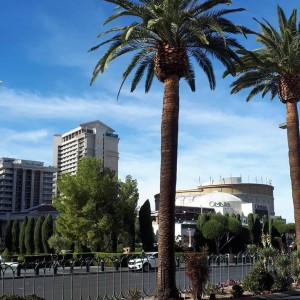 46878288-353393672101688-6987171428424482816-n