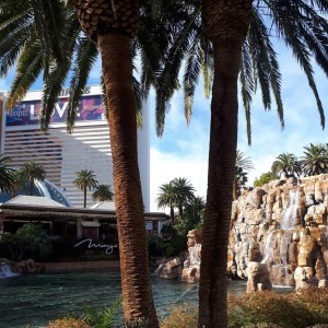 47069150-1986443544756292-6694541747336249344-n