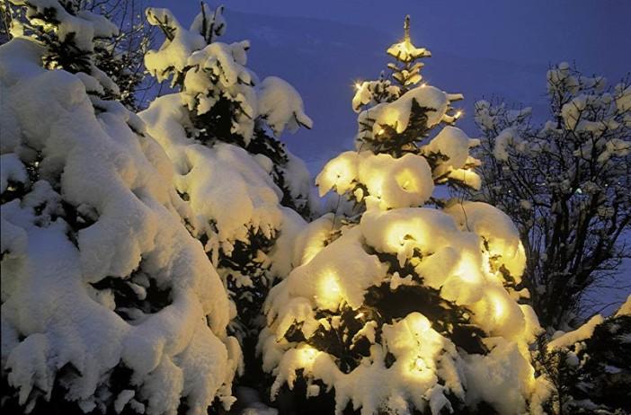 (Allgemein) foto-weihnachten.jpg