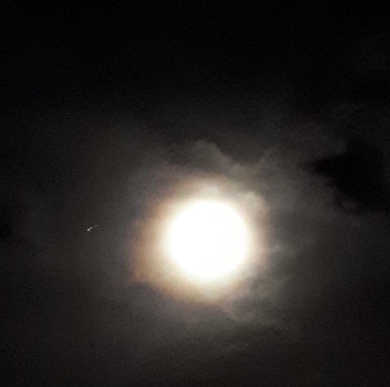 (Allgemein) vollmond-am-3102020-stimmung.jpg