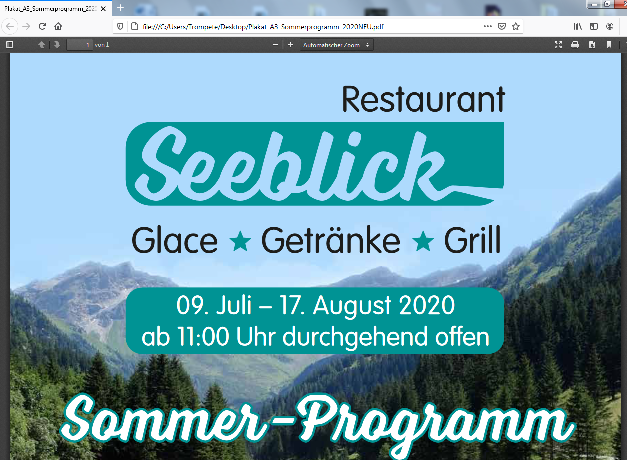 (Presseberichte) 06-08-2020-plakat-seeblick-2000-lichtenstein.png